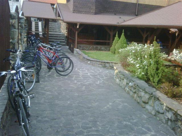 Penzion U Holuba Hradcovice Exterior photo